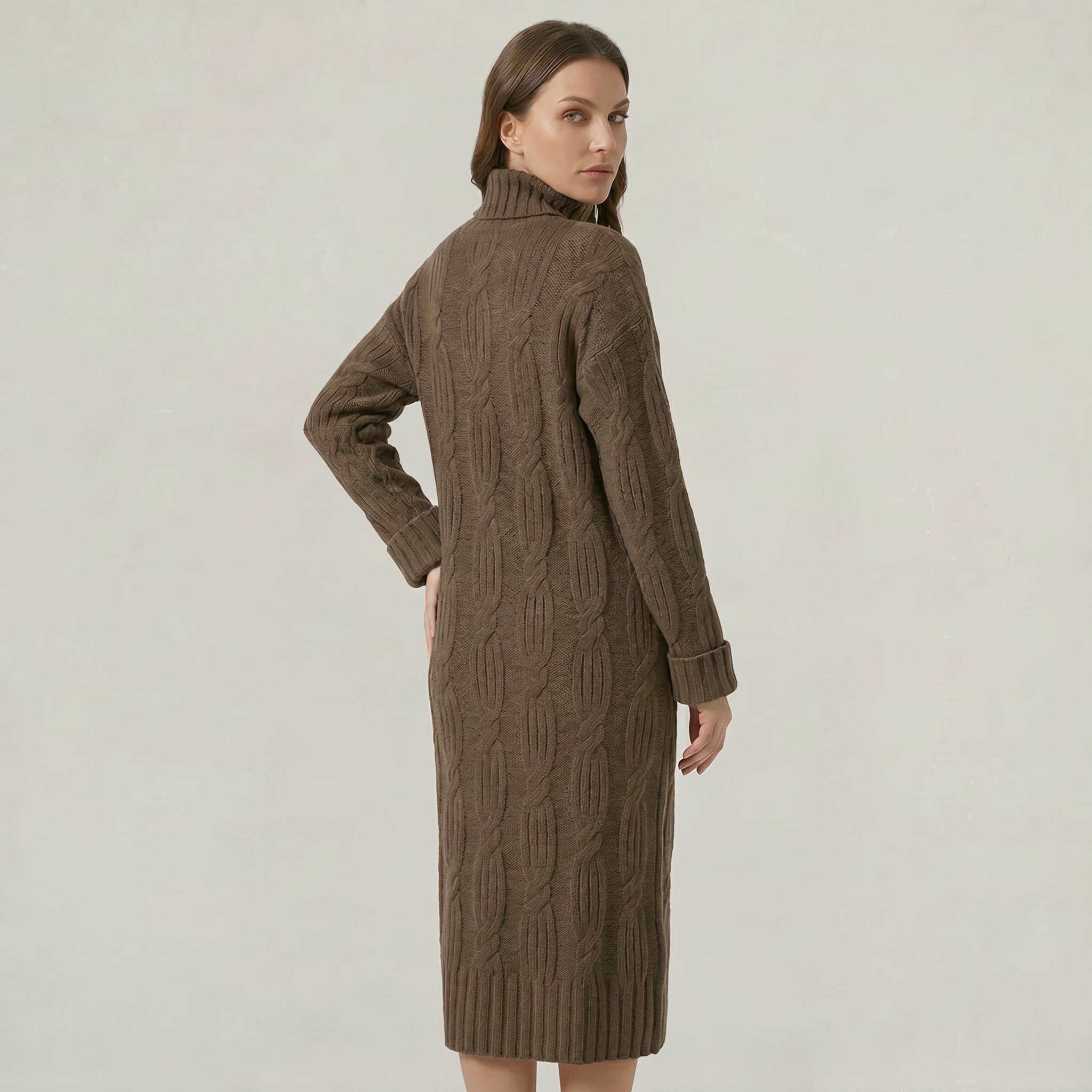 Women’s Turtleneck Winter Dress