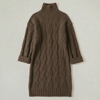 Women’s Turtleneck Winter Dress