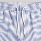 Men’s Striped Drawstring Swim Shorts