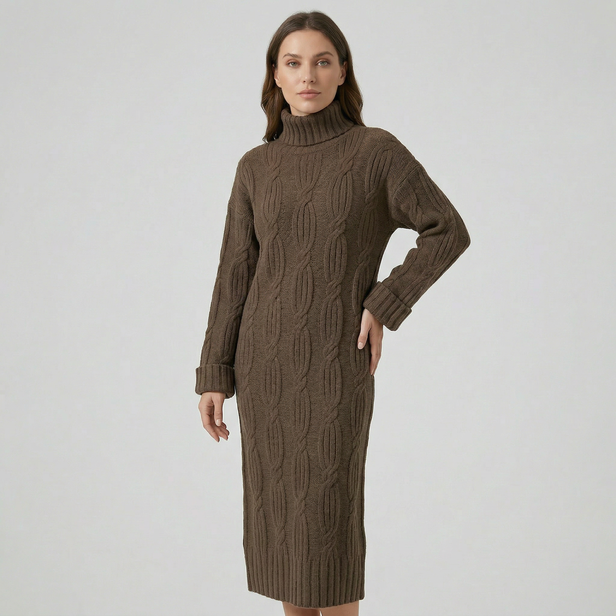 Women’s Turtleneck Winter Dress