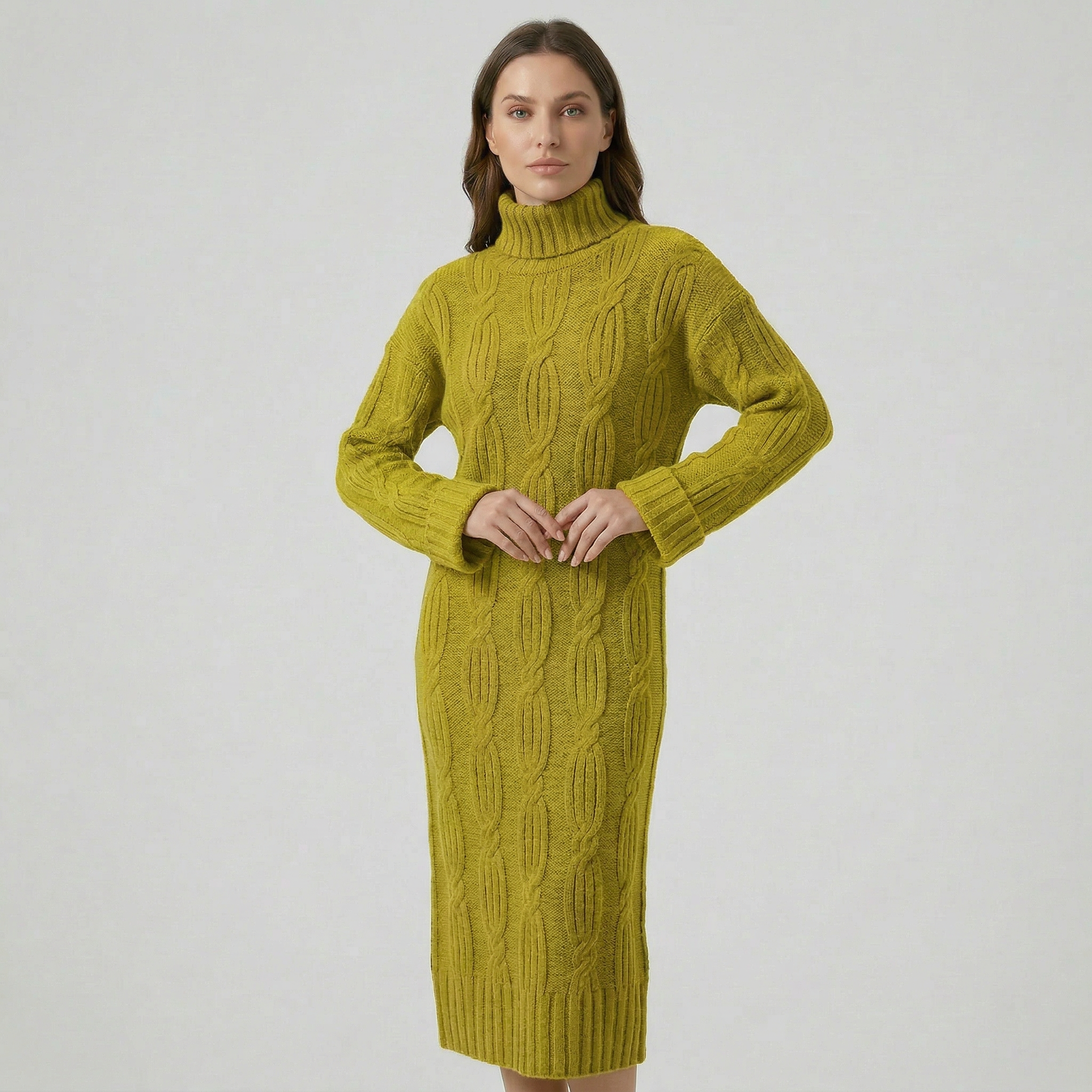 Women’s Turtleneck Winter Dress